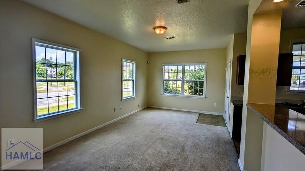 409 Valdez Ct - Photo 3 of 12