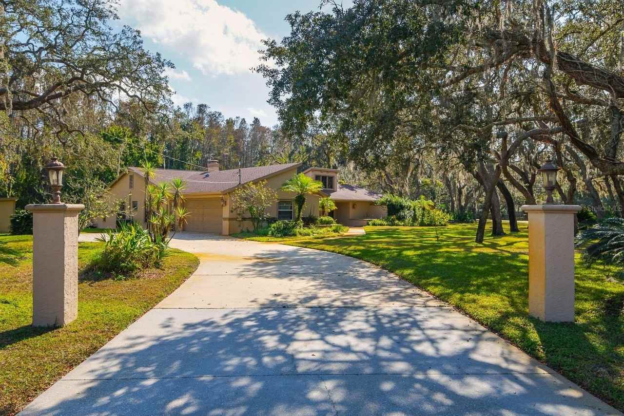 10206 Lakeview Dr - Photo 2 of 50