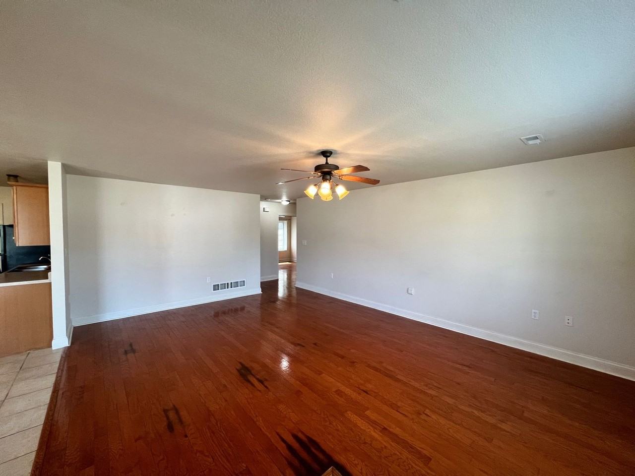 1001 Cassidy Dr - Photo 7 of 19