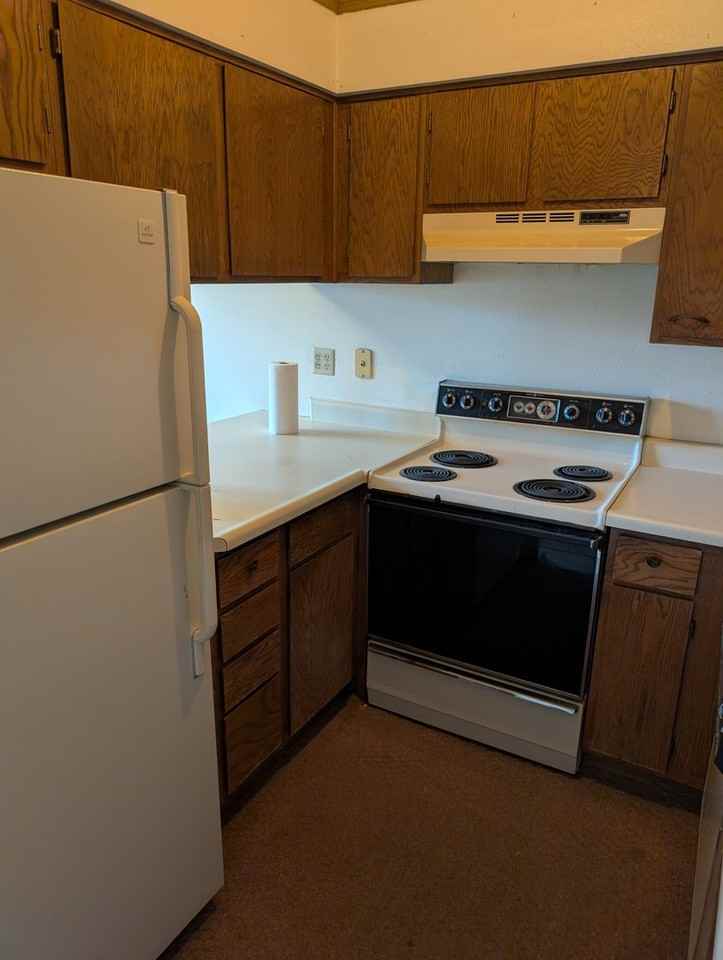 3828 Smoke Tree Dr - Photo 5 of 10