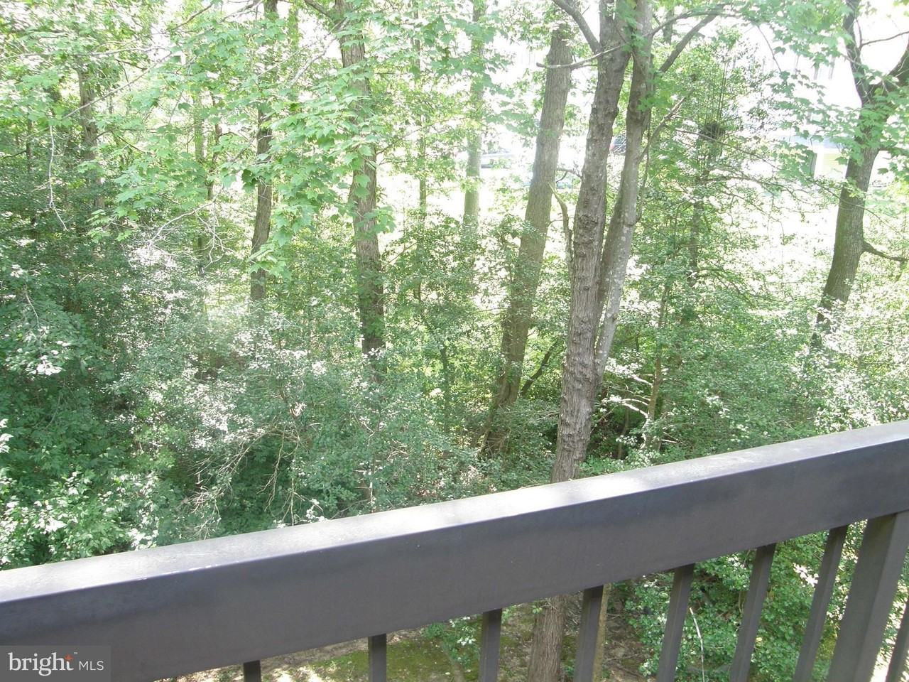 23306 Walnut Hollow Ct #905 - Photo 7 of 36