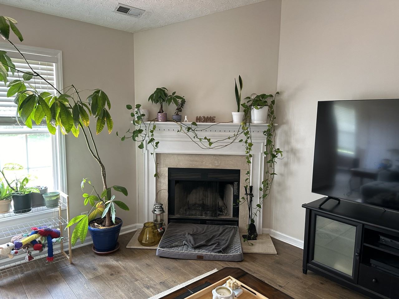590 Americana Dr #1 - Photo 3 of 10