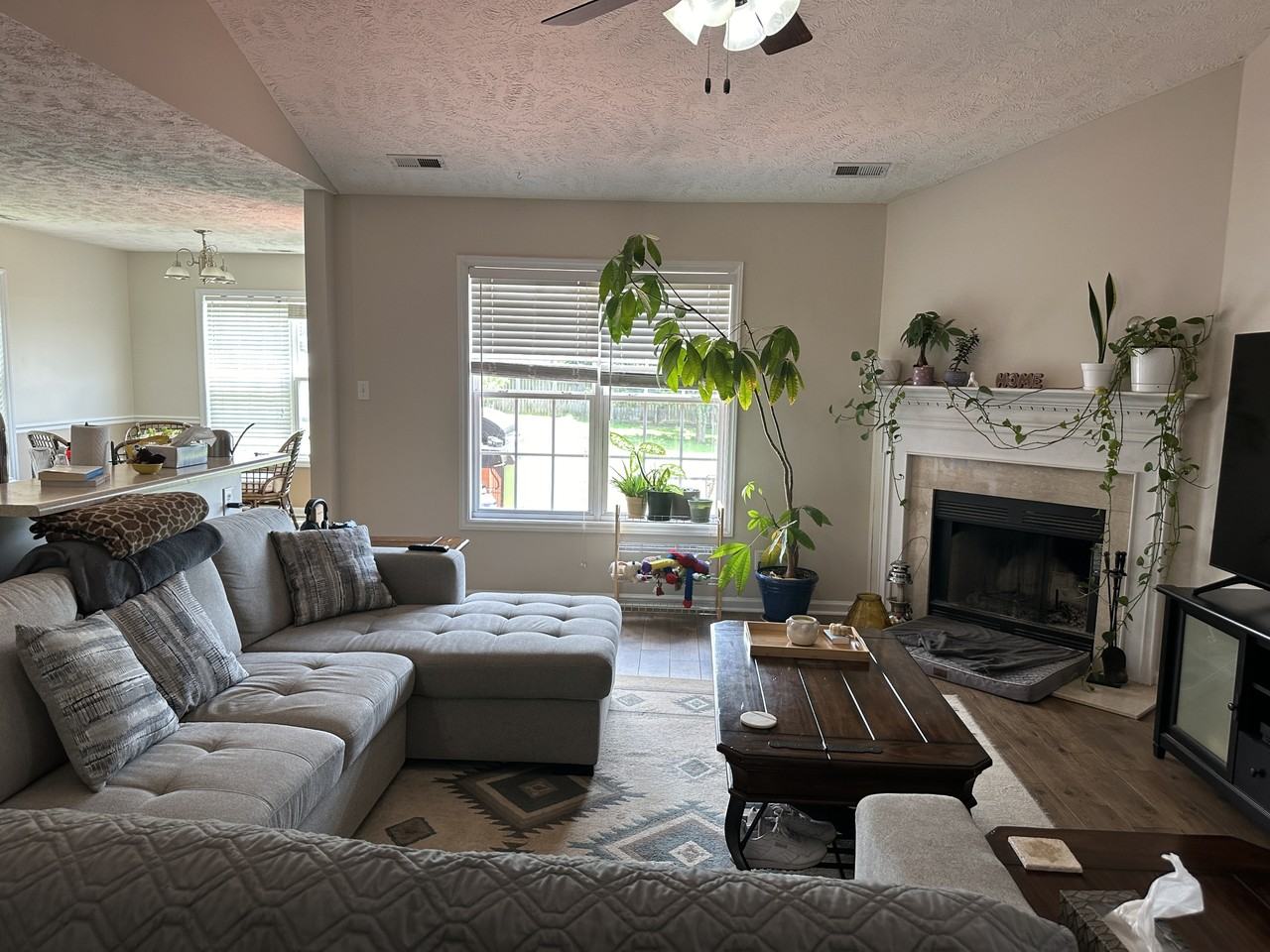 590 Americana Dr #1 - Photo 4 of 10