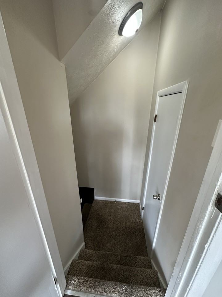 4893 Nugent Dr #4893 - Photo 5 of 19