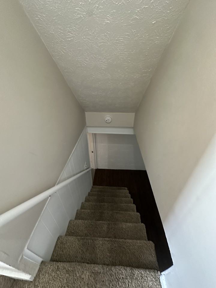 4893 Nugent Dr #4893 - Photo 7 of 19