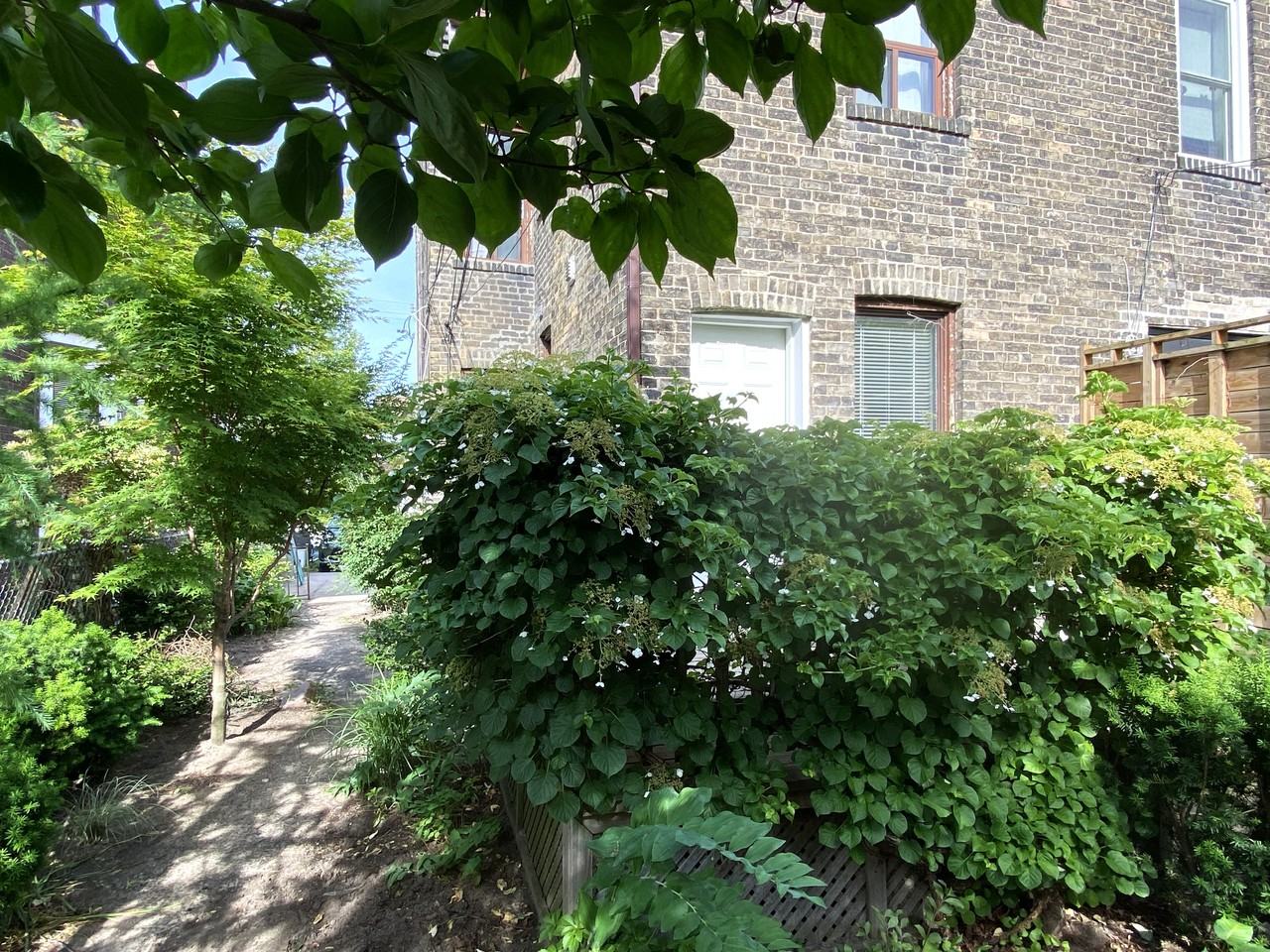 462 Pape Avenue - Photo 3 of 14