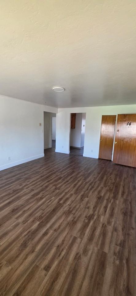 310 Moonlite Drive - Photo 5 of 13