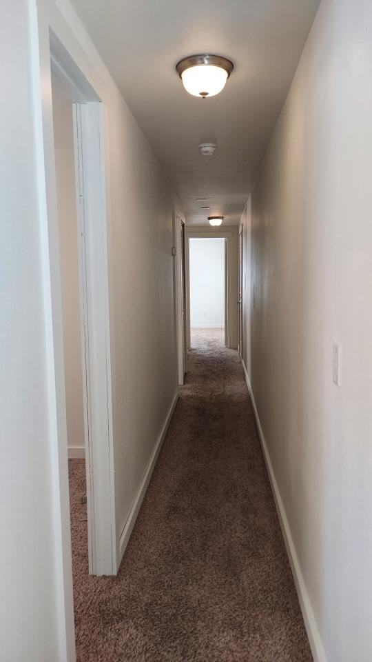 1637 Dickie Rd #6 - Photo 4 of 7