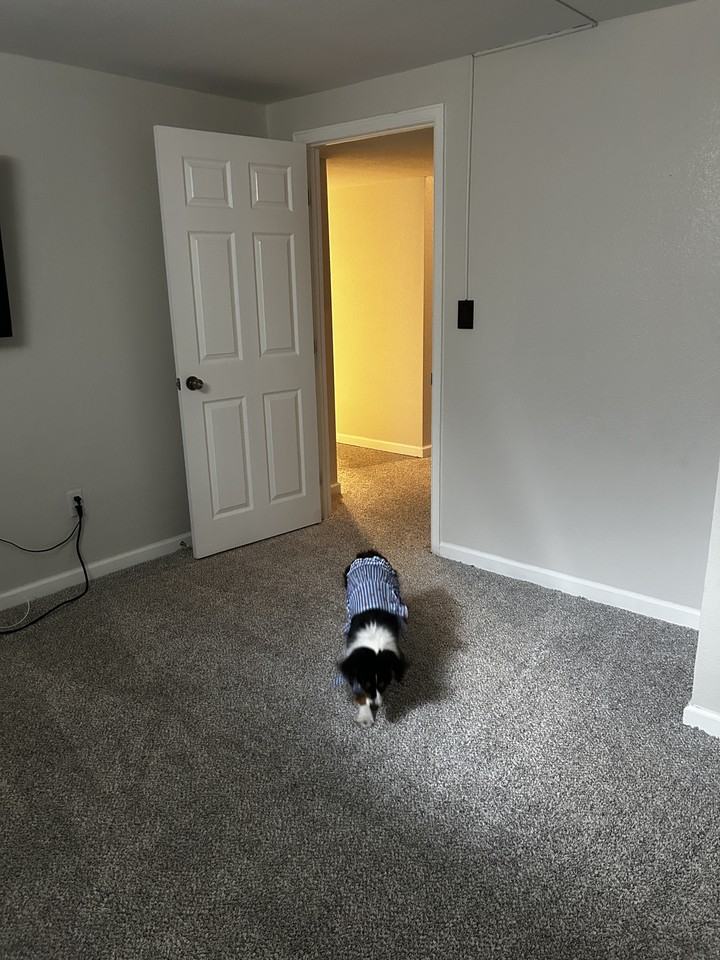 1219 South Yosemite Way - Photo 6 of 12