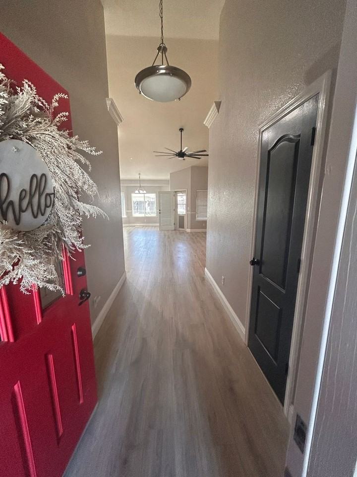 1519 Castoro Way - Photo 2 of 25