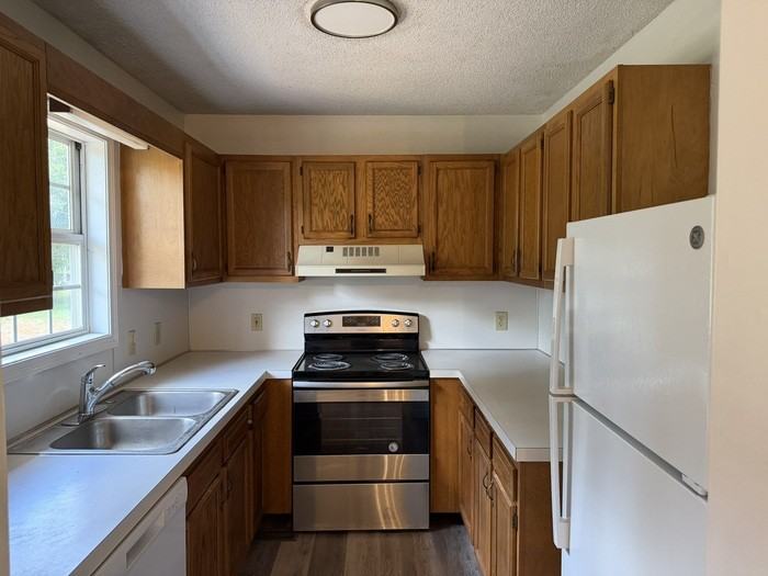 153 White Tail Ct - Photo 4 of 12