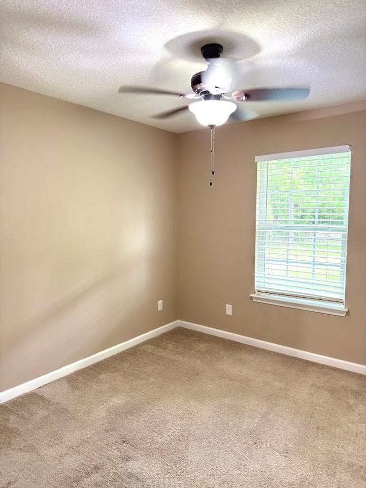 264 Daniel Trent Way - Photo 7 of 19