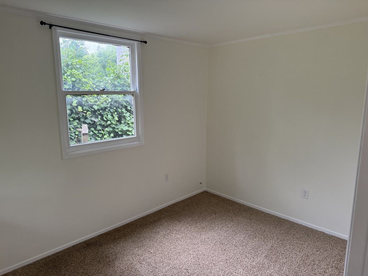 120 Bloomfield Rd #1 - Photo 6 of 15