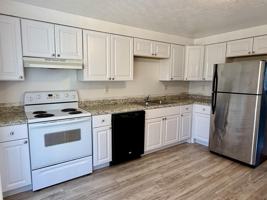 featured image of 1351 Paul St #2