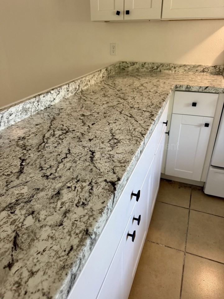 1549 Tangelo Cir - Photo 5 of 9
