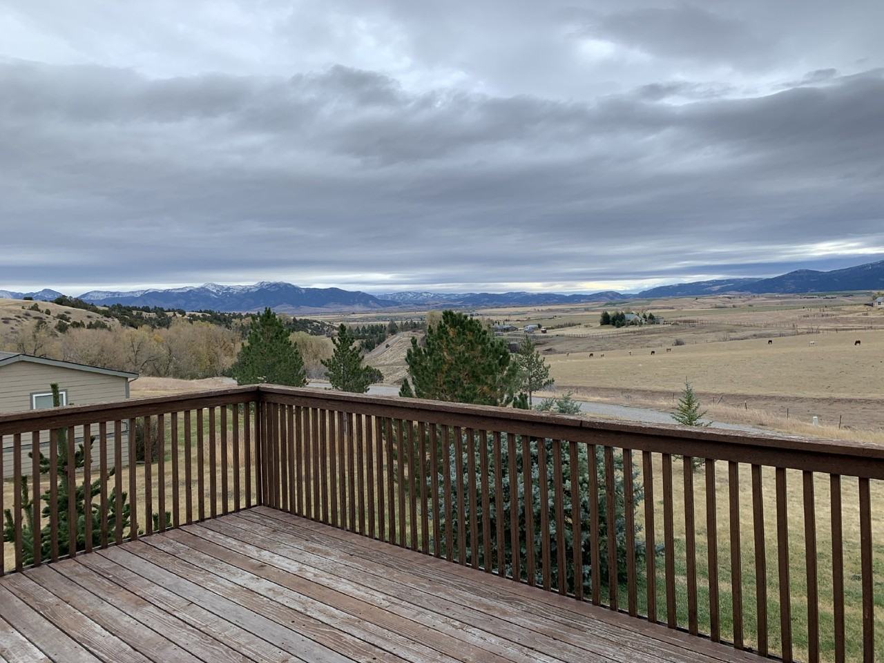 239 Sunrise Ridge Trl - Photo 2 of 14