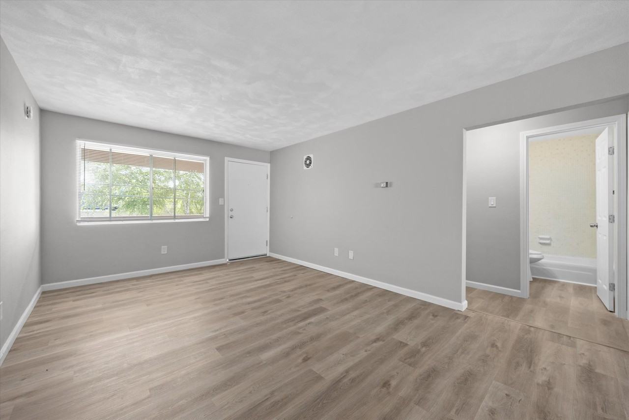 1000 Olive St #213 - Photo 4 of 9