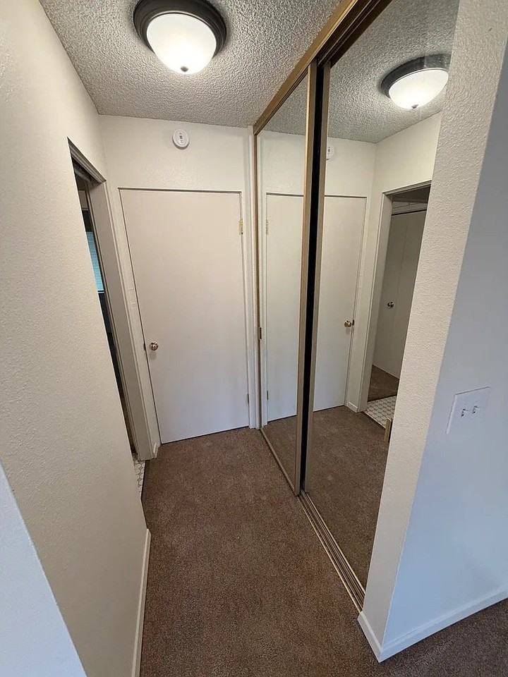 1225 Elegante Ln - Photo 7 of 11