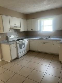 719 Elizabeth Dr New - Photo 3 of 7