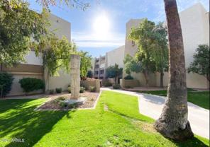 7625 E Camelback Rd #142A - Photo 1 of 1
