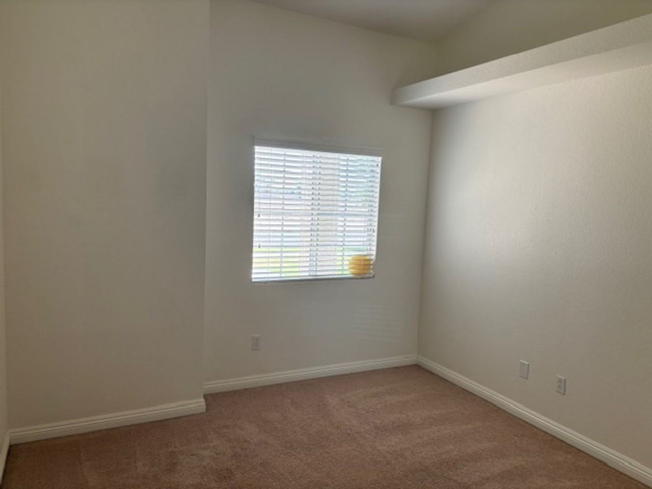 374 Solano Ave - Photo 7 of 15
