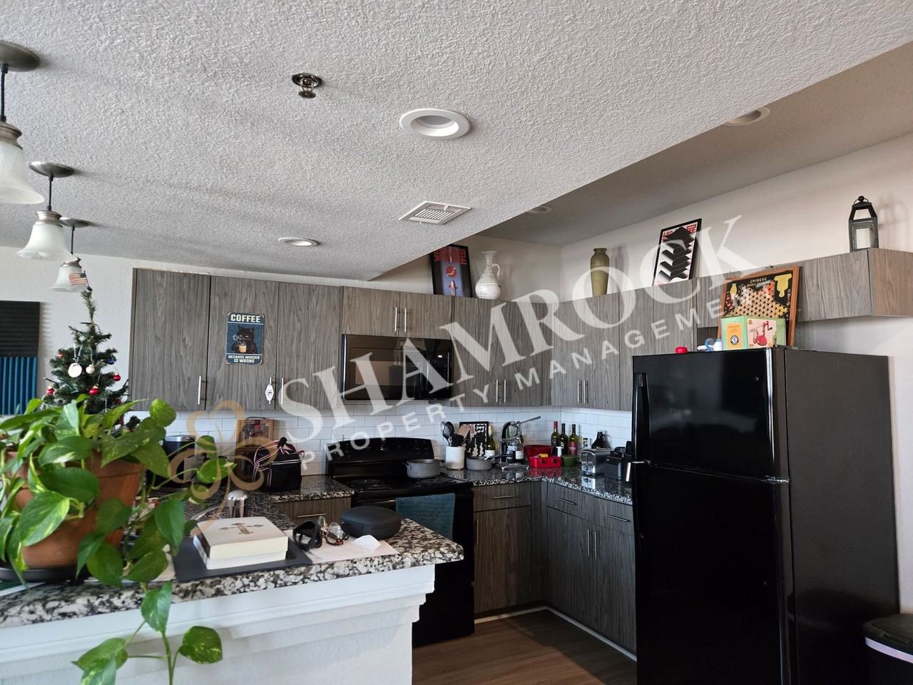 1307 Austin Ave #204 - Photo 3 of 7