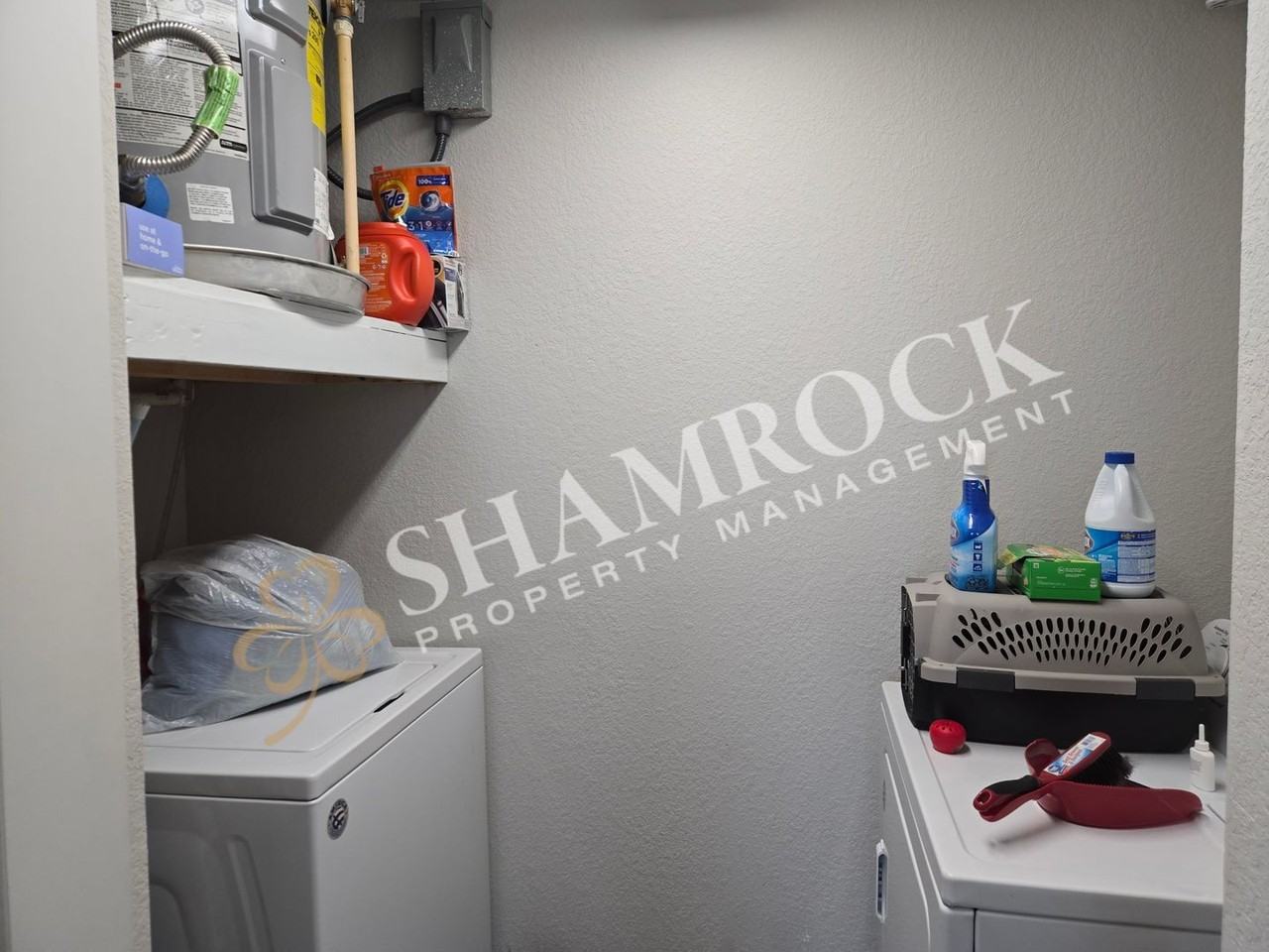 1307 Austin Ave #204 - Photo 5 of 7