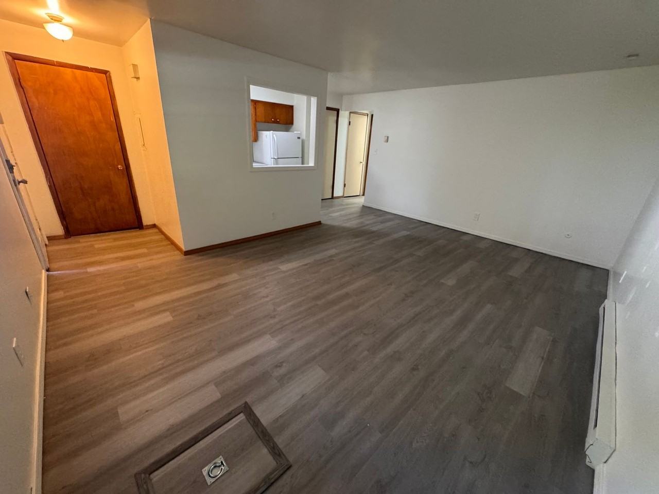 The Spruce - Photo 4 of 10