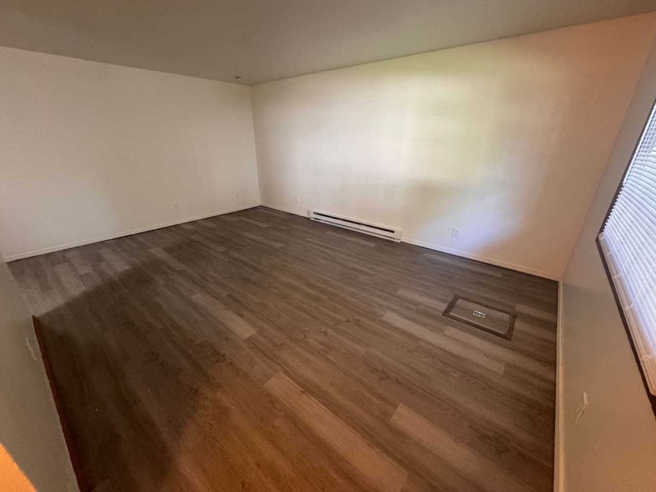 The Spruce - Photo 5 of 10