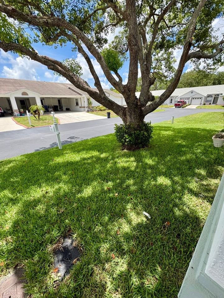 9221 Estrada Pl - Photo 2 of 16