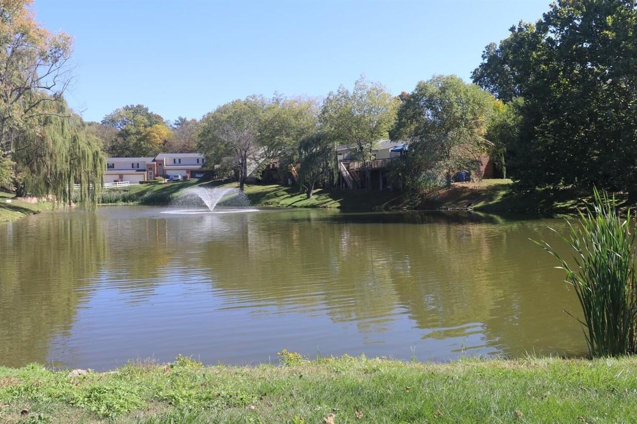 1005 Lakefront Dr - Photo 3 of 45