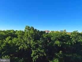 3705 S George Mason Dr #709S - Photo 1 of 1