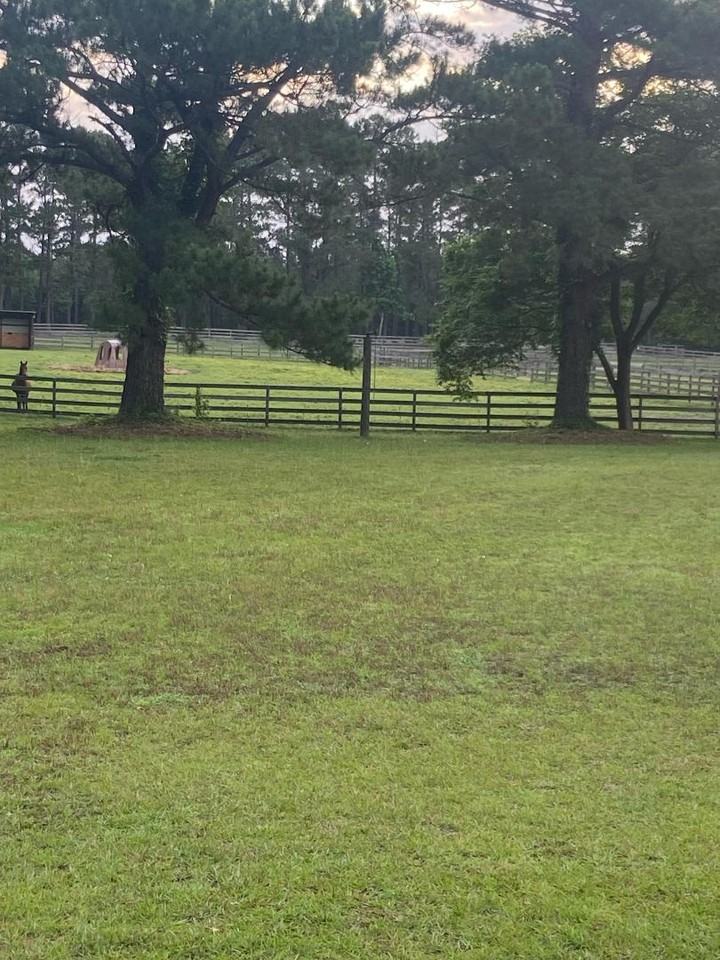 3324 Stag Park Rd - Photo 4 of 10