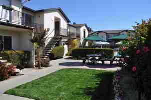featured image of 240 Hollis Ave #13