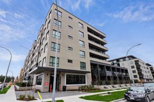 featured image of 15733 85 Ave
