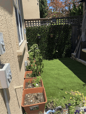 107 San Ramon Ct - Photo 4 of 6