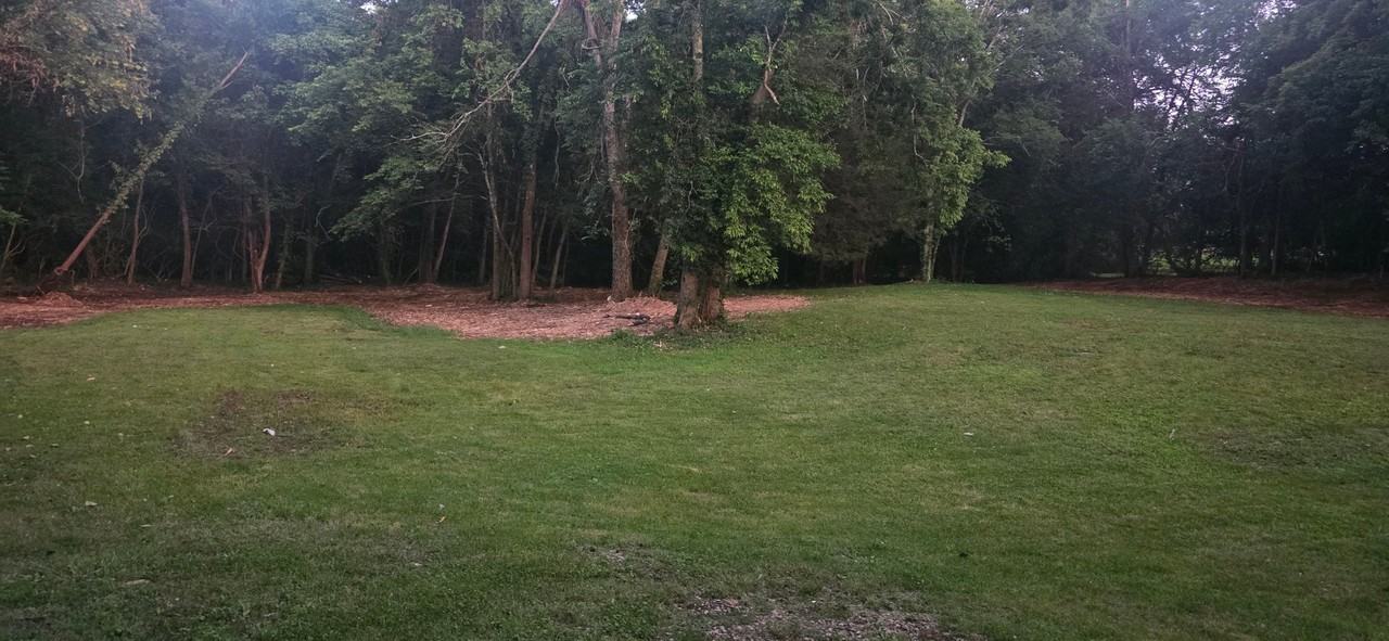 647 Shipp Ln - Photo 2 of 20