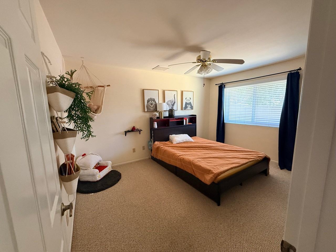 4335 W Michelle Dr - Photo 6 of 15