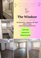 featured image of The Windsor Apartments