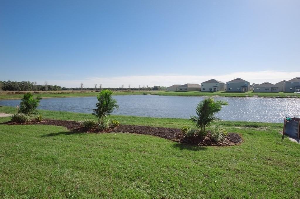 15543 Trinity Fall Way - Photo 2 of 11