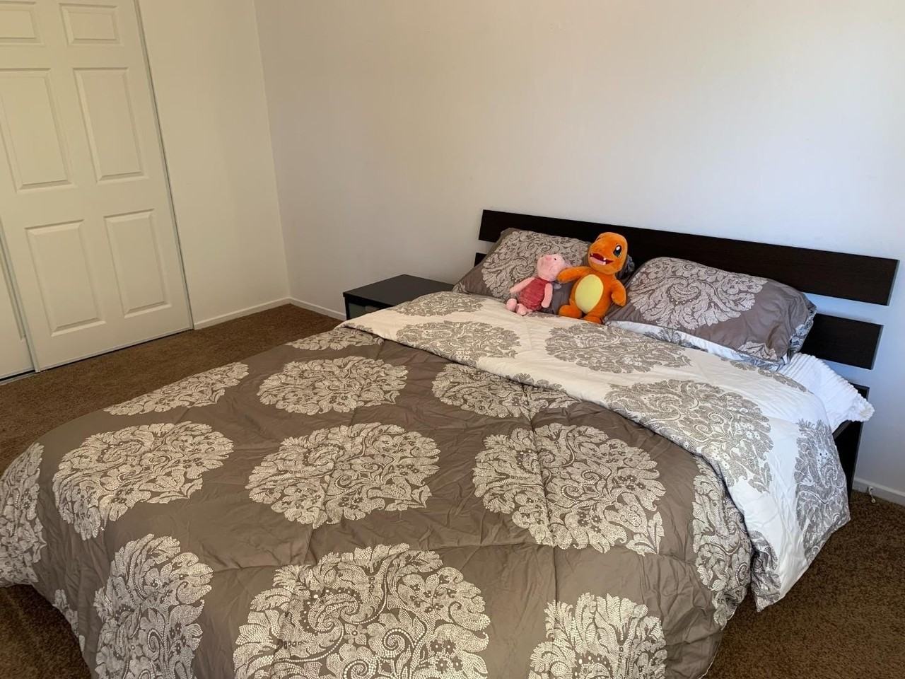 615 Alpha Ct - Photo 3 of 16