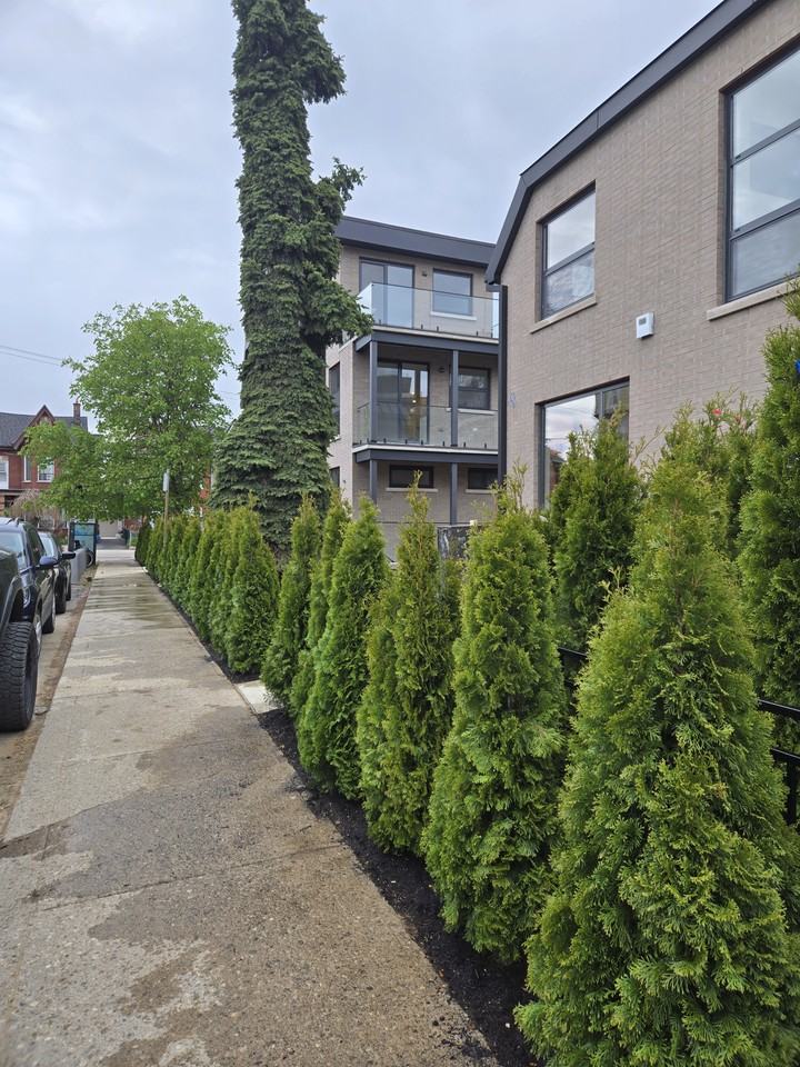 78 Gladstone Avenue #5 - Photo 3 of 9