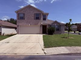featured image of 8003 Seatide Vis