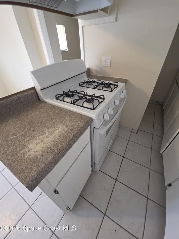 105 Palmetto Ave #11 - Photo 4 of 14