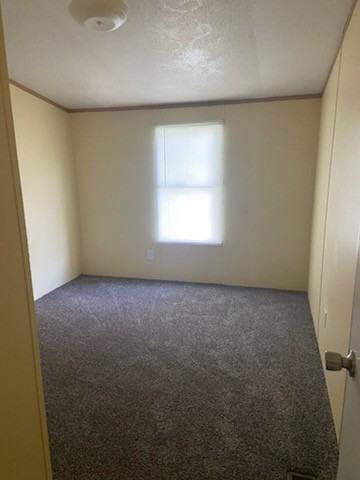 349 Mesquite Ln Lot 46 #46 - Photo 5 of 9