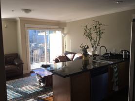 263 Fifth St E #5 - Photo 1 of 1