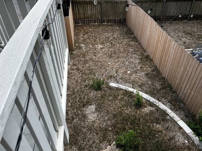 106 W Mary St #B - Photo 4 of 8