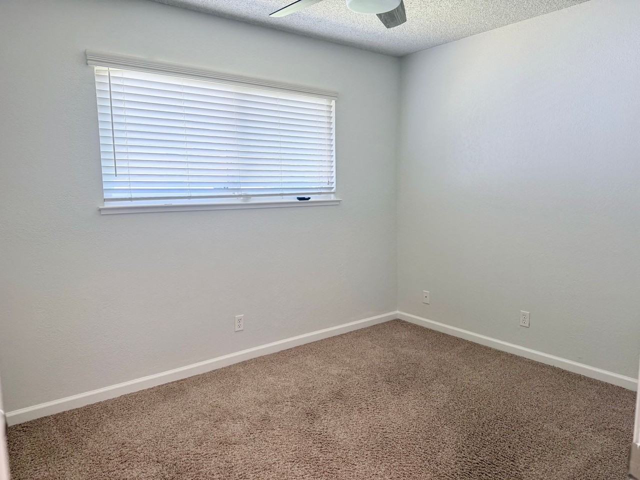 1008 Linier Ct - Photo 7 of 15