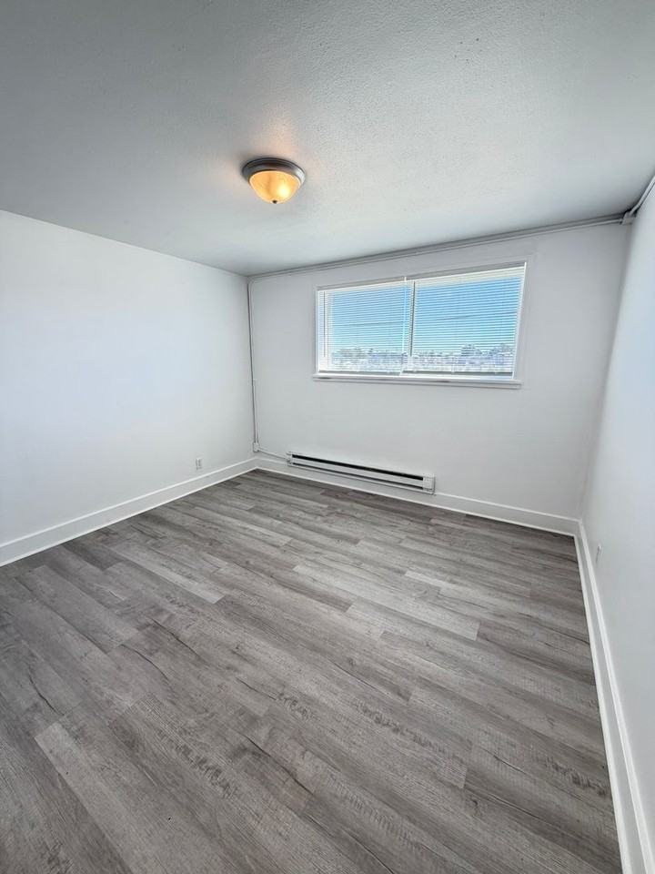 Two Bedrooms, One Bedroom, and Studio Apartments Available - Photo 5 of 14