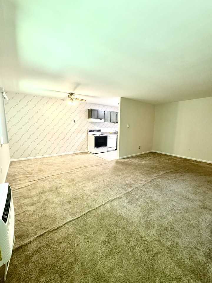 74 Barrett St #308 - Photo 3 of 13